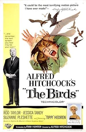 Poster for The Birds