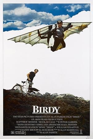 Poster for Birdy