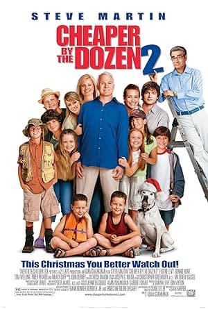 Poster for Cheaper by the Dozen 2