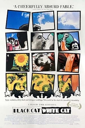 Poster for Black Cat, White Cat