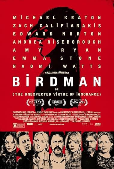 Poster for Birdman