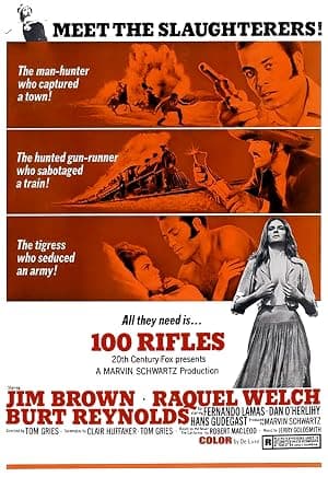 Poster for 100 Rifles